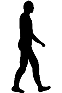 Evolution 5
